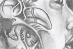 <em>Evolution</em><br>Dec 2006<br>9"x 6" <br><br>Drawn after trying to imitate <a href='http://www.giger.com' target='_blank'>Giger</a>'s biomechanical style. It's supposed to symbolize mankind's technological evolution as we slowly become more and more reliant on machines... so much so that this man is actually becoming one himself. However, despite the horrendous mutation, he appears to be completely content with it and perhaps even ignorant of it completely.<br><br><br><br>Click <a href='http://www.andrew.cmu.edu/user/aczhang/traditional/roboman.jpg' target='_blank'>here</a> to go directly to the image (best quality).