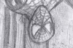 <em>Spiderman</em><br>June 2004<br>8.5"x 11"<br><br>In honor of the release of Spiderman 2 in theatres right before (by the way, Spiderman 3 was such a bust), I decided to draw this. The city and the building in the background were thought of by myself and not drawn from any previously made comic.<br><br><br><br>Click <a href='http://www.andrew.cmu.edu/user/aczhang/traditional/spiderman.jpg' target='_blank'>here</a> to go directly to the image (best quality).